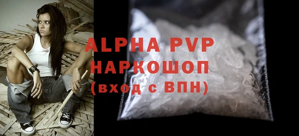 прущие грибы Волоколамск