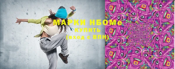 прущие грибы Волоколамск