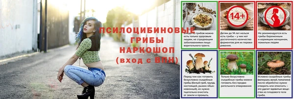прущие грибы Волоколамск