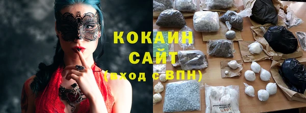 прущие грибы Волоколамск