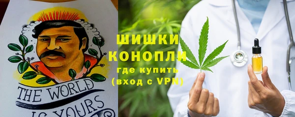 прущие грибы Волоколамск